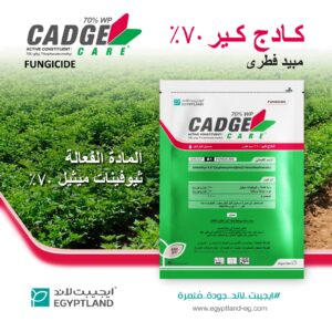 كــــــادج كــــــــير70% WP