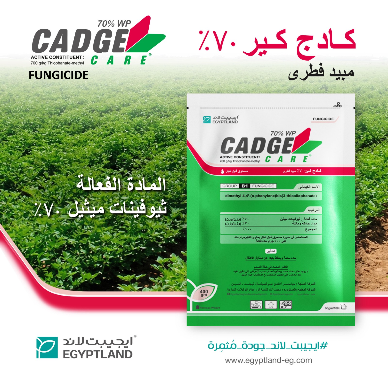 كــــــادج كــــــــير70% WP